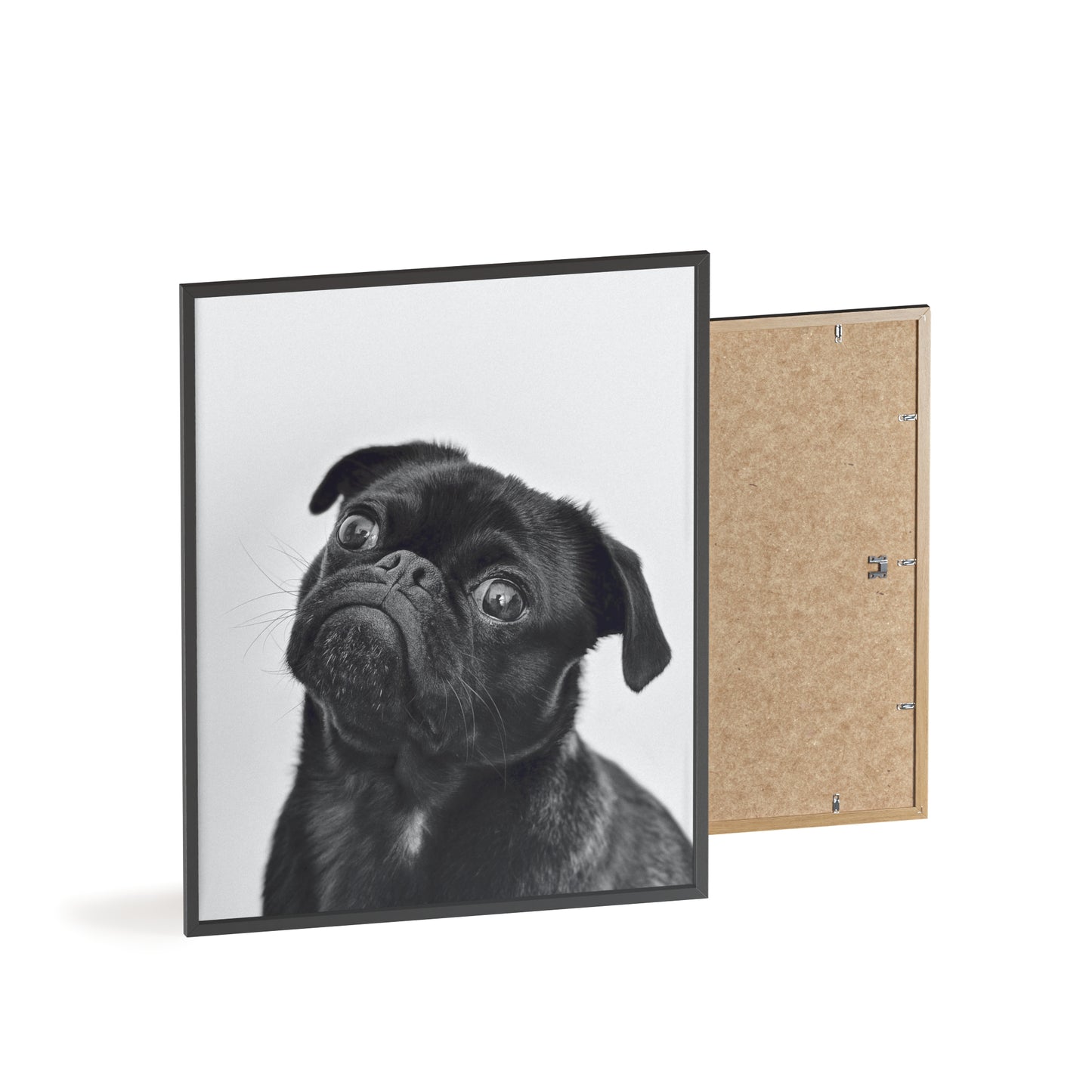 Posters with Wooden Frame