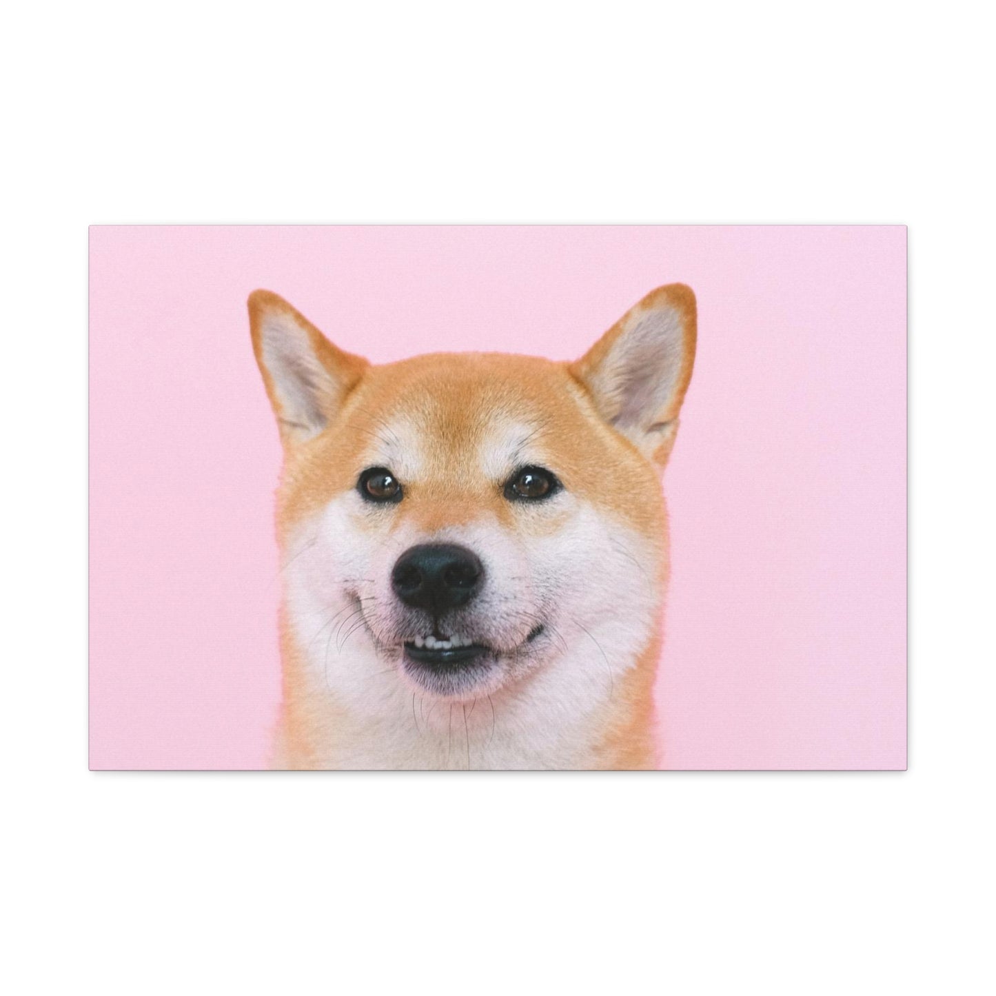 Canvas "Doge"