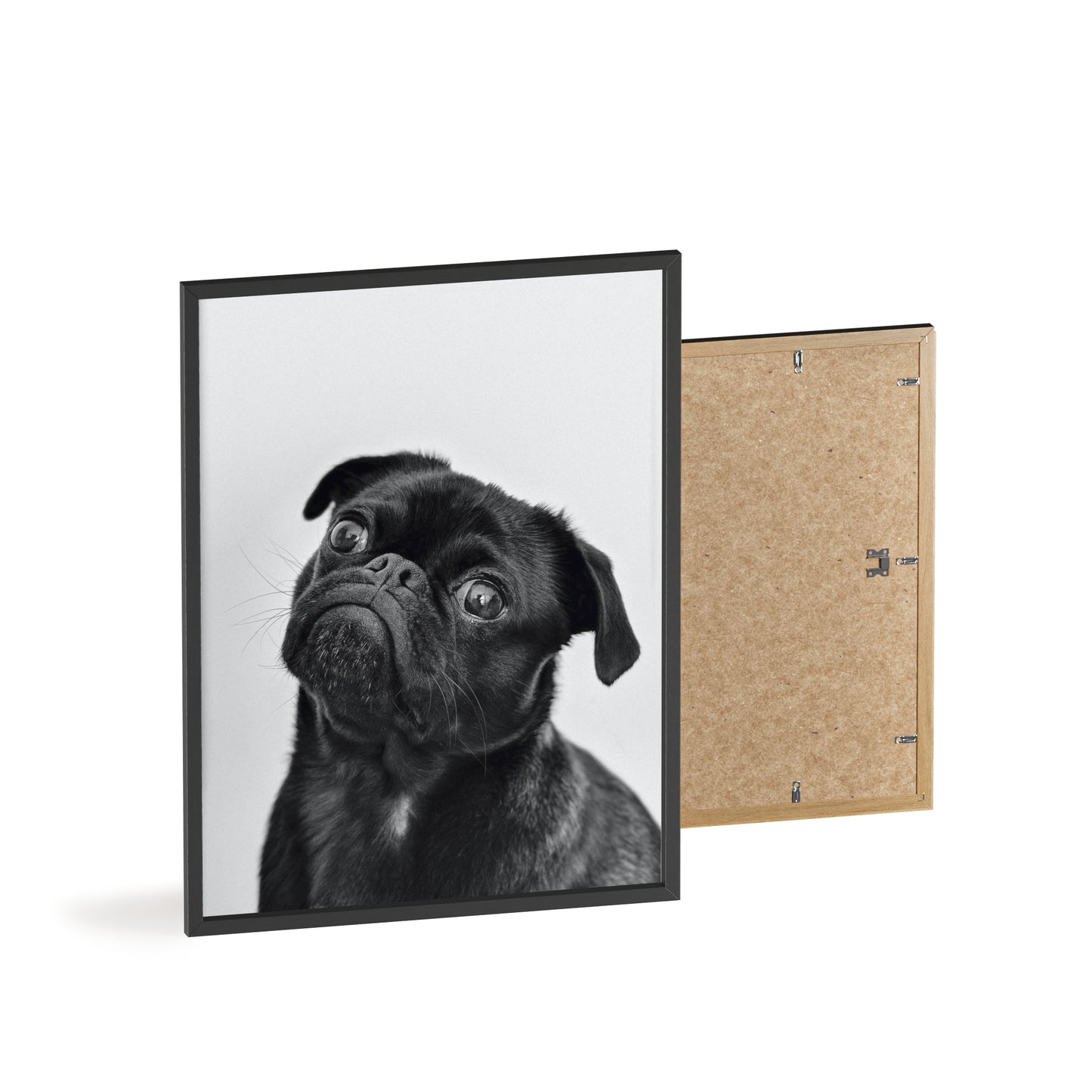 Posters with Wooden Frame