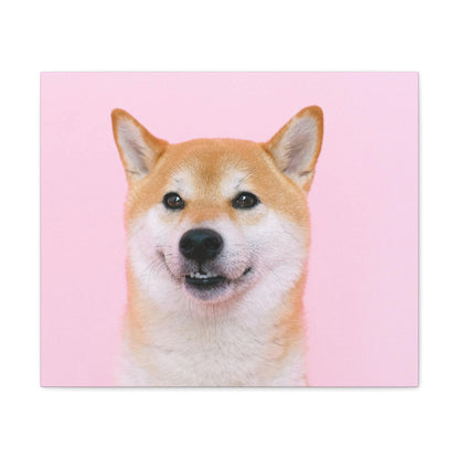 Canvas "Doge"