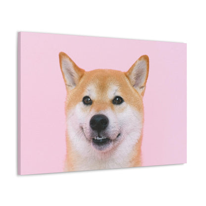 Canvas "Doge"