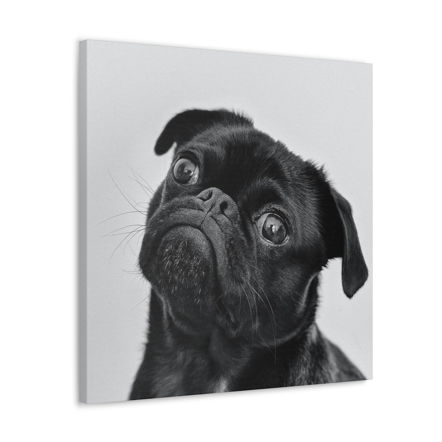 Canvas "Frenchie"