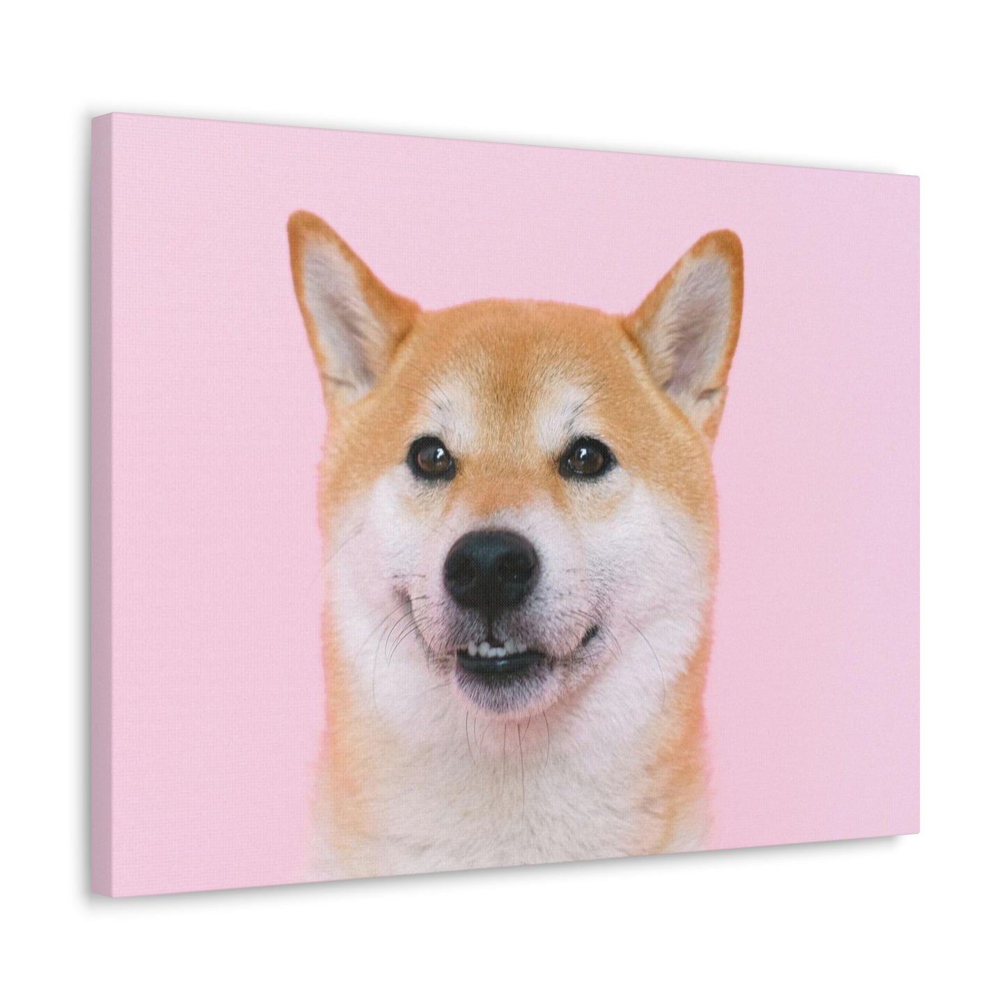 Canvas "Doge"