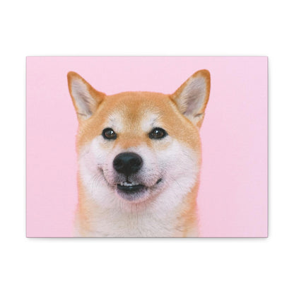 Canvas "Doge"