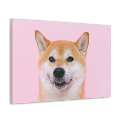 Canvas "Doge"