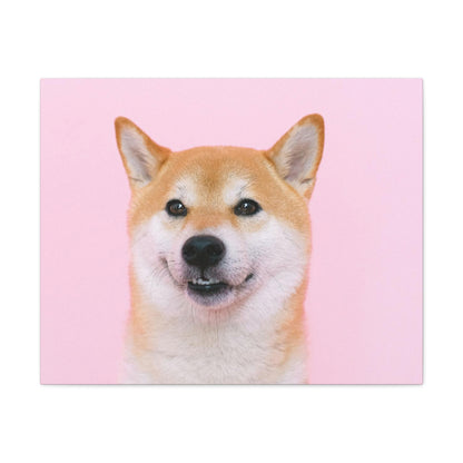 Canvas "Doge"