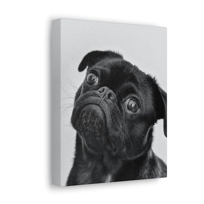 Canvas "Frenchie"