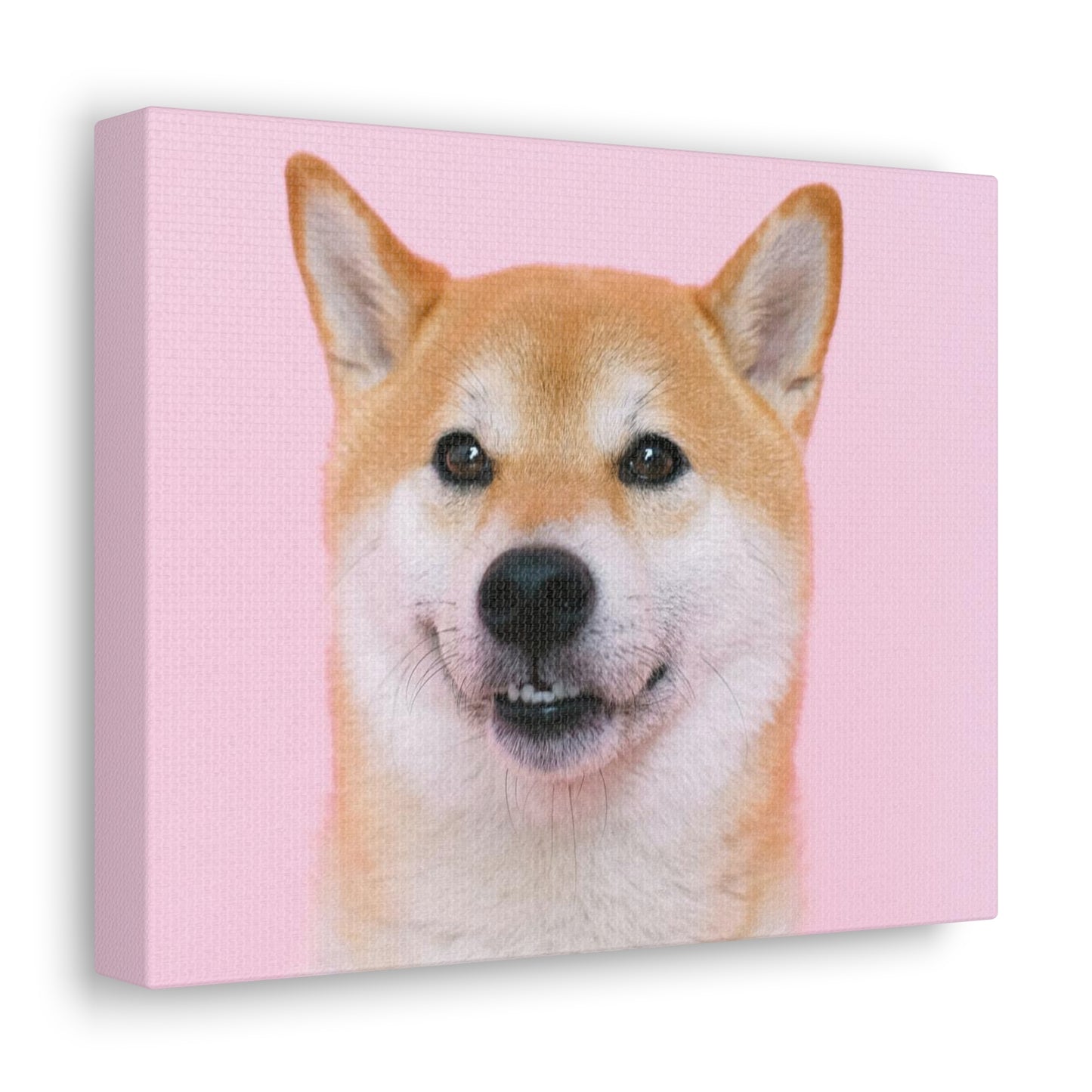 Canvas "Doge"