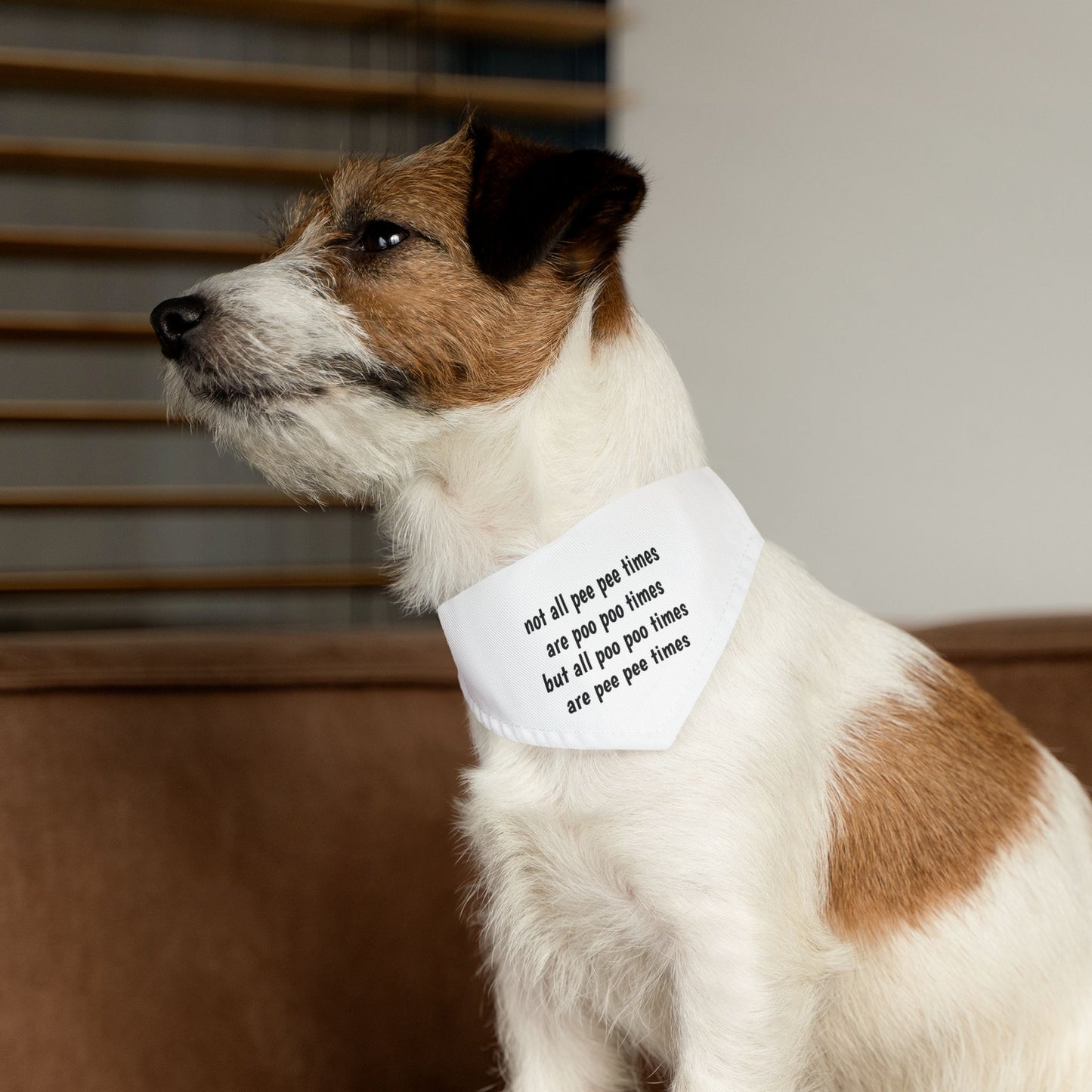 Pet Bandana Collar