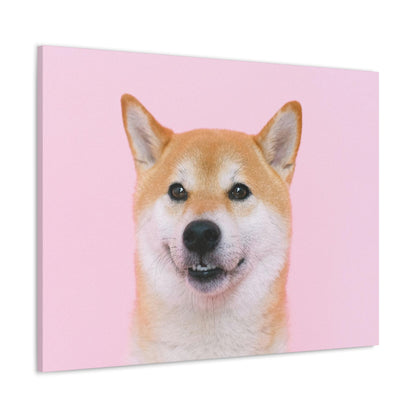 Canvas "Doge"