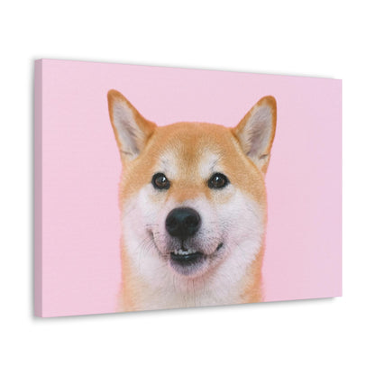 Canvas "Doge"