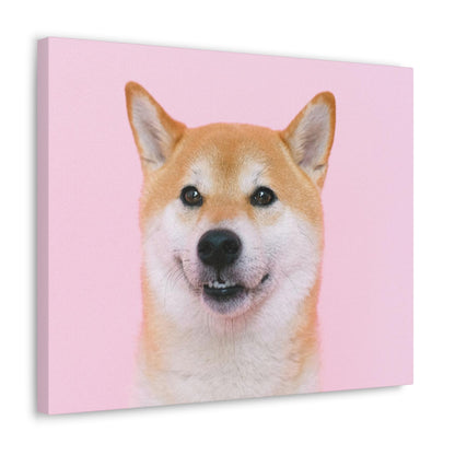 Canvas "Doge"