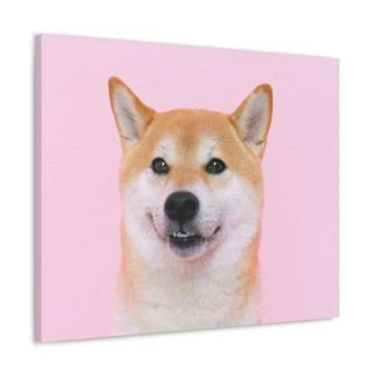 Canvas "Doge"