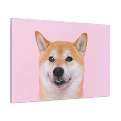 Canvas "Doge"