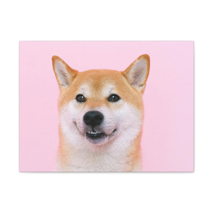 Canvas "Doge"