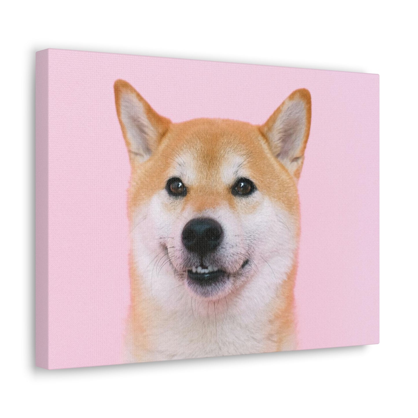 Canvas "Doge"