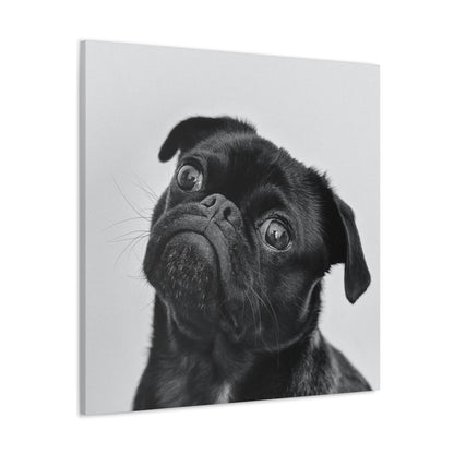 Canvas "Frenchie"