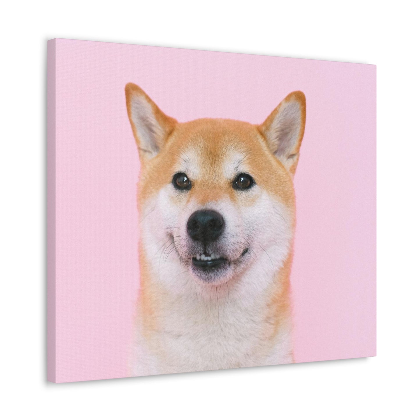 Canvas "Doge"